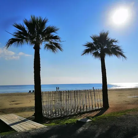 Alex 203 Larnaca
