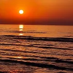 Apartman Alex 203