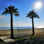 Alex 203 Lárnaka