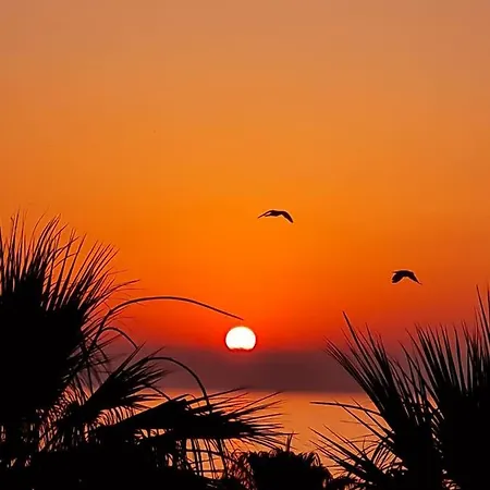 Alex 203 Апартаменты *