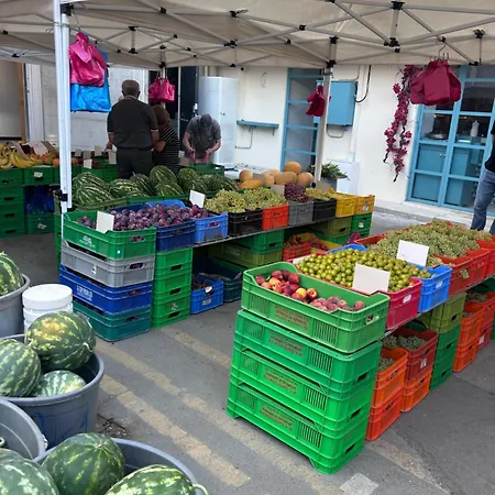 Alex 203 لارنكا