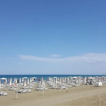 Апартаменты Alex 203