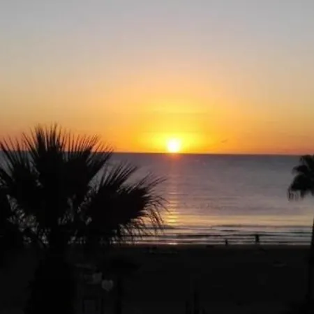 Alex 203 Ларнака